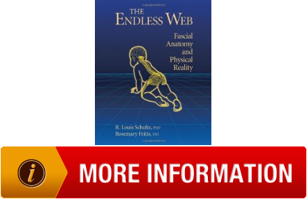 Rudimentary The Endless Web Fascial Anatomy and Physical Reality