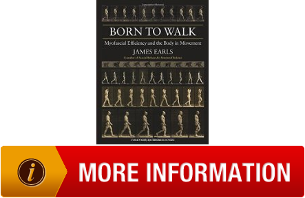 Born to Walk Myofascial Efficiency and the Body in Movement Of